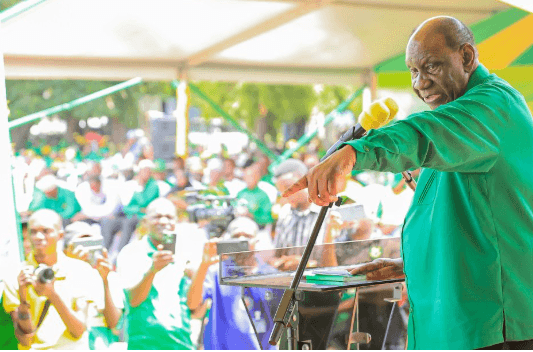 Wasira akihtubia wanachama na wafuasi wa CCM